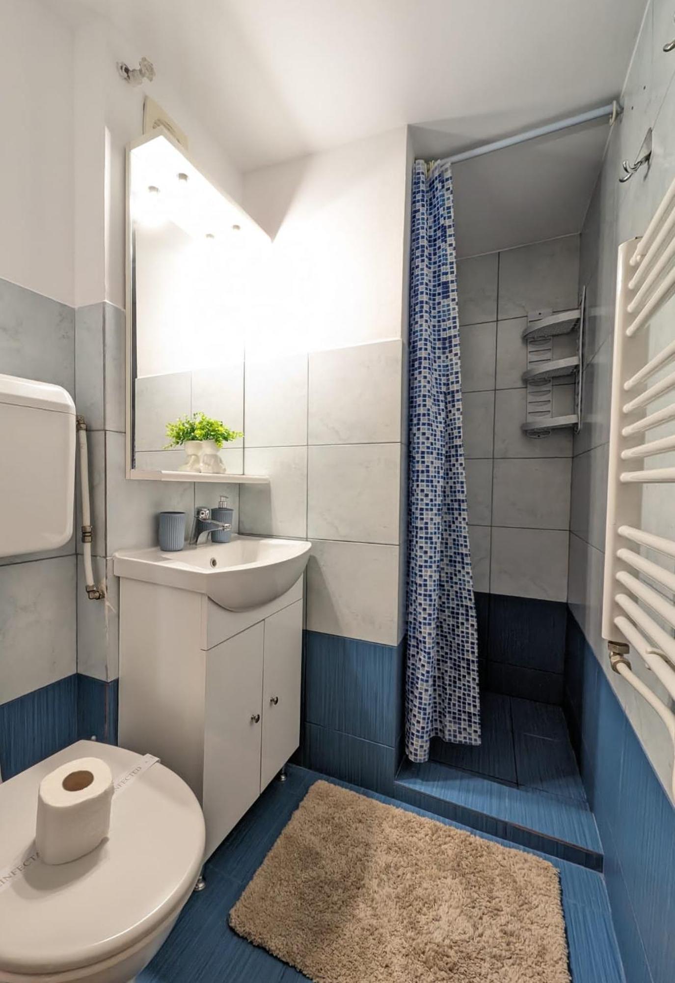 Apartment Old Town - Victoriei 2